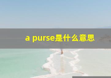 a purse是什么意思